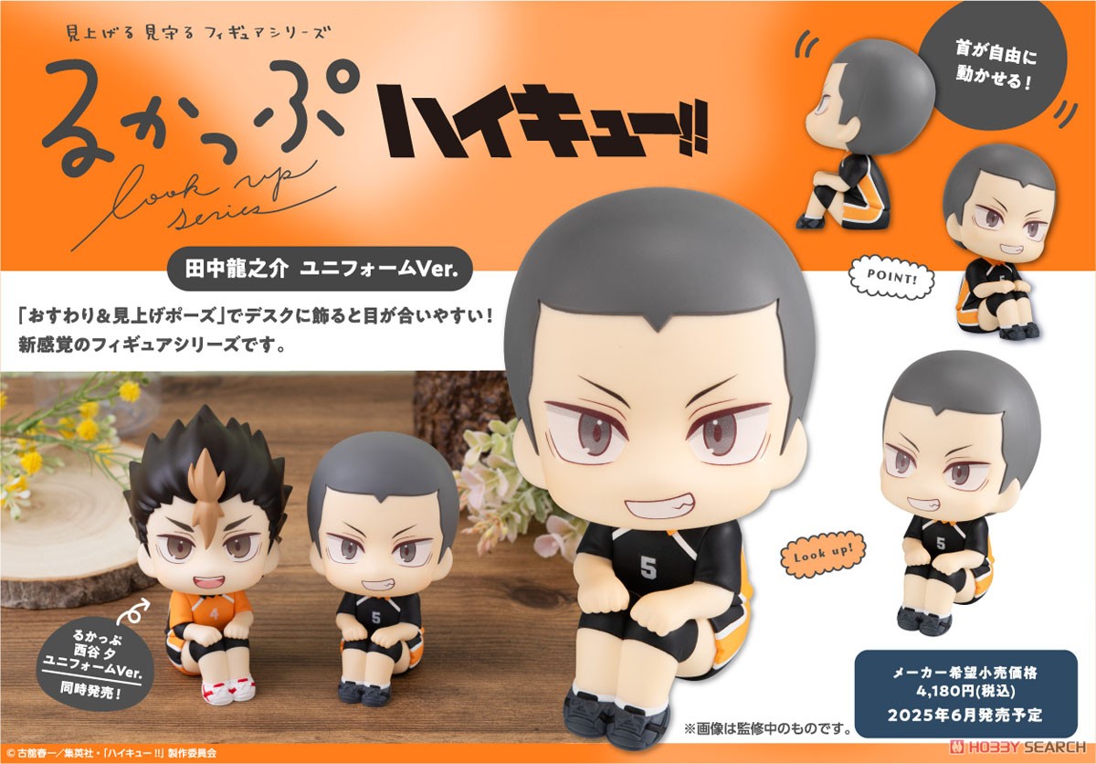 ☆特価品 るかっぷ ハイキュー!! 田中龍之介 ユニフォームVer
