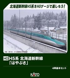 HOナロー) 【特別企画品】 沼尻鉄道 ガソ101 II 新ラジエター付 単端式