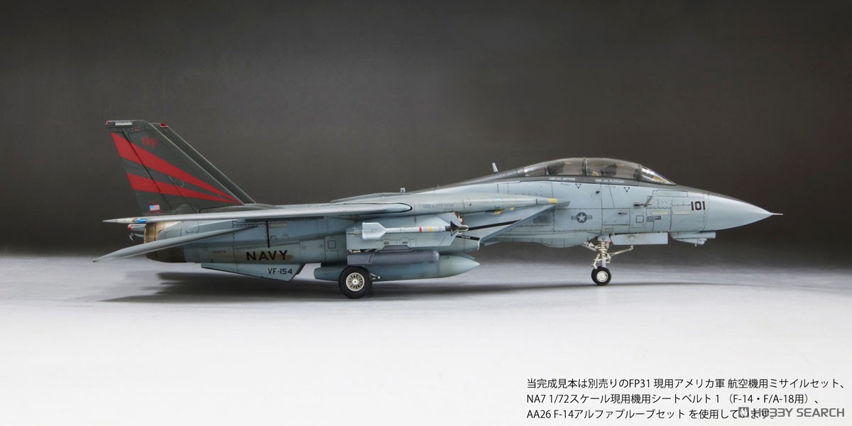 アメリカ海軍 F-14A トムキャット `ボムキャット` (プラモデル