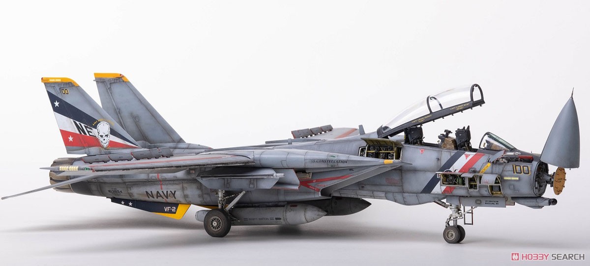 F-14D スーパートムキャット 「スペシャルエディション」 (プラモデル