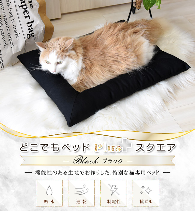 どこでもベッド Plus プラス スクエア ブラック (34452) ゴロにゃん