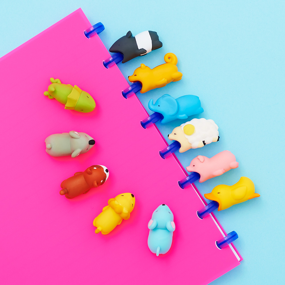 Chico Will Scold You! ｜ CABLE BITE - Official Site -