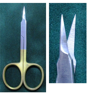 Ceo Corp.(パーチメントクラフト商品販売)