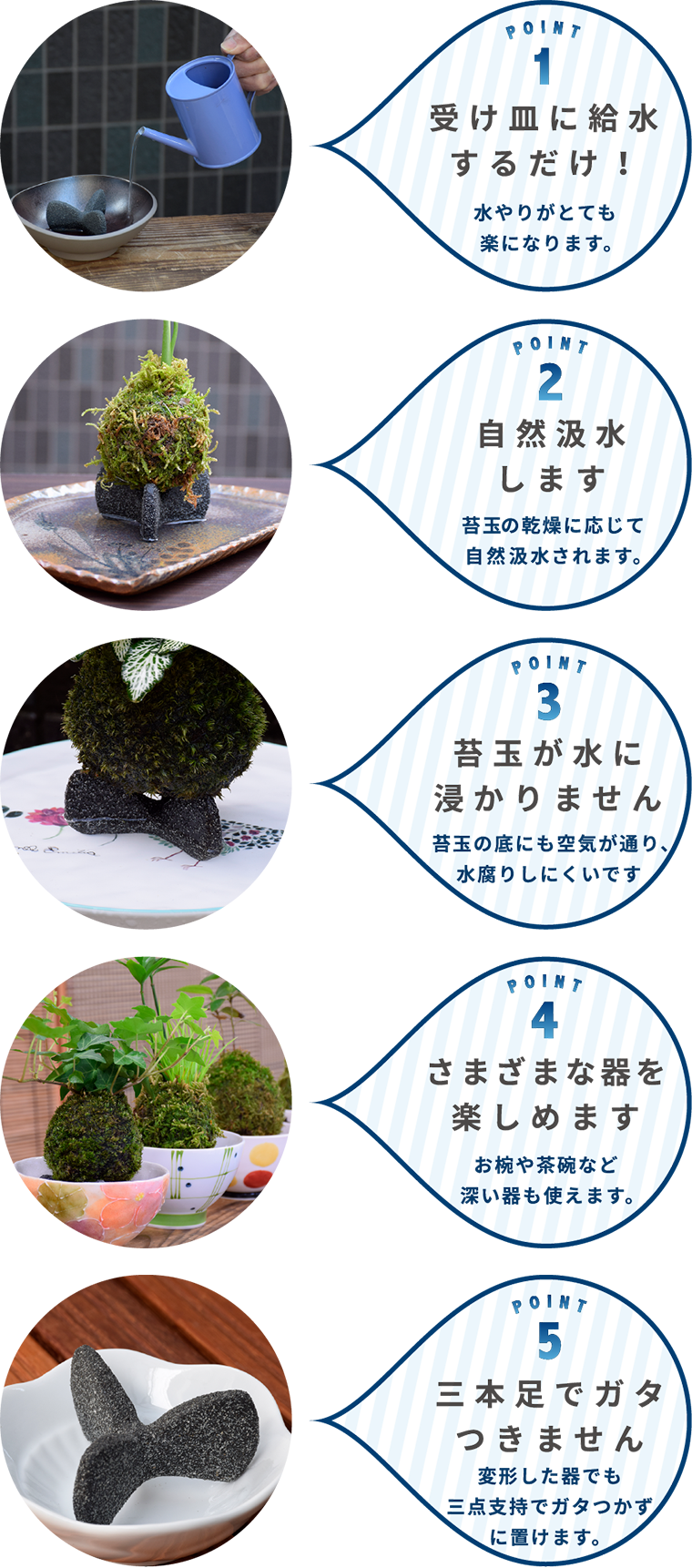 苔玉の水やり KOKESTAで簡単に！