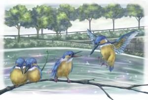 市の鳥制定記念「カワセミモチーフ作品募集」(募集終了） - 戸田市公式