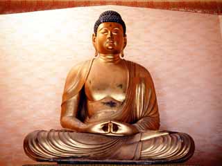 文化財情報 有形文化財 木造阿弥陀如来坐像 - 高知市公式ホームページ