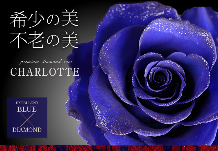 プレミアムダイヤモンドローズ シャルロット class salon