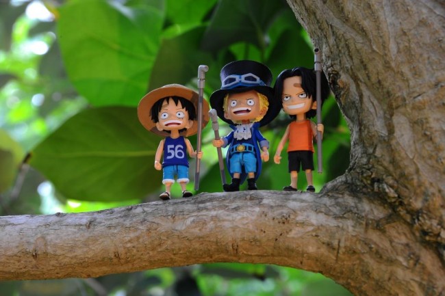 ルフィ、サボ、エースの兄弟の誓いを再現！『Cry heart』第2弾発売決定