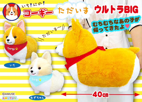 ≪2月の新商品≫いちにのコーギーただいま☆アミューズプライズ-NEW