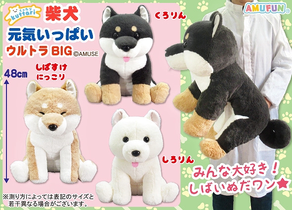 ≪8月の新商品≫くったり柴犬元気いっぱい-NEW ITEM！｜アミューズ最新情報