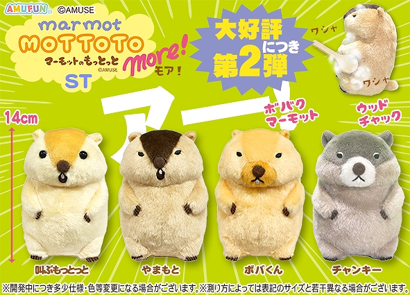 ≪7月の新商品≫マーモットのもっとっとモア-NEW ITEM！｜アミューズ