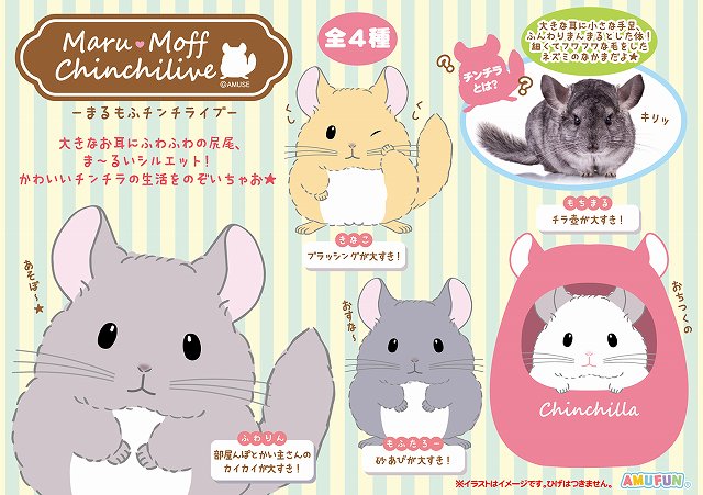 ≪4月の新商品≫アミューズプライズーNEW ITEM！☆まるもふチンチラ