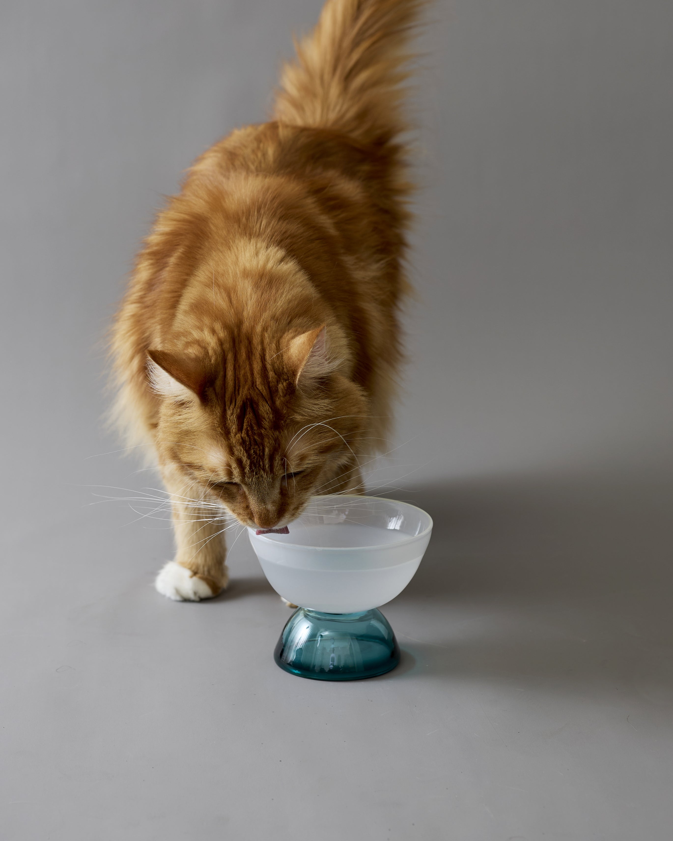 UTSUROI / glass bowl｜吹きガラス作家・野尻恵美とつくる“時間の