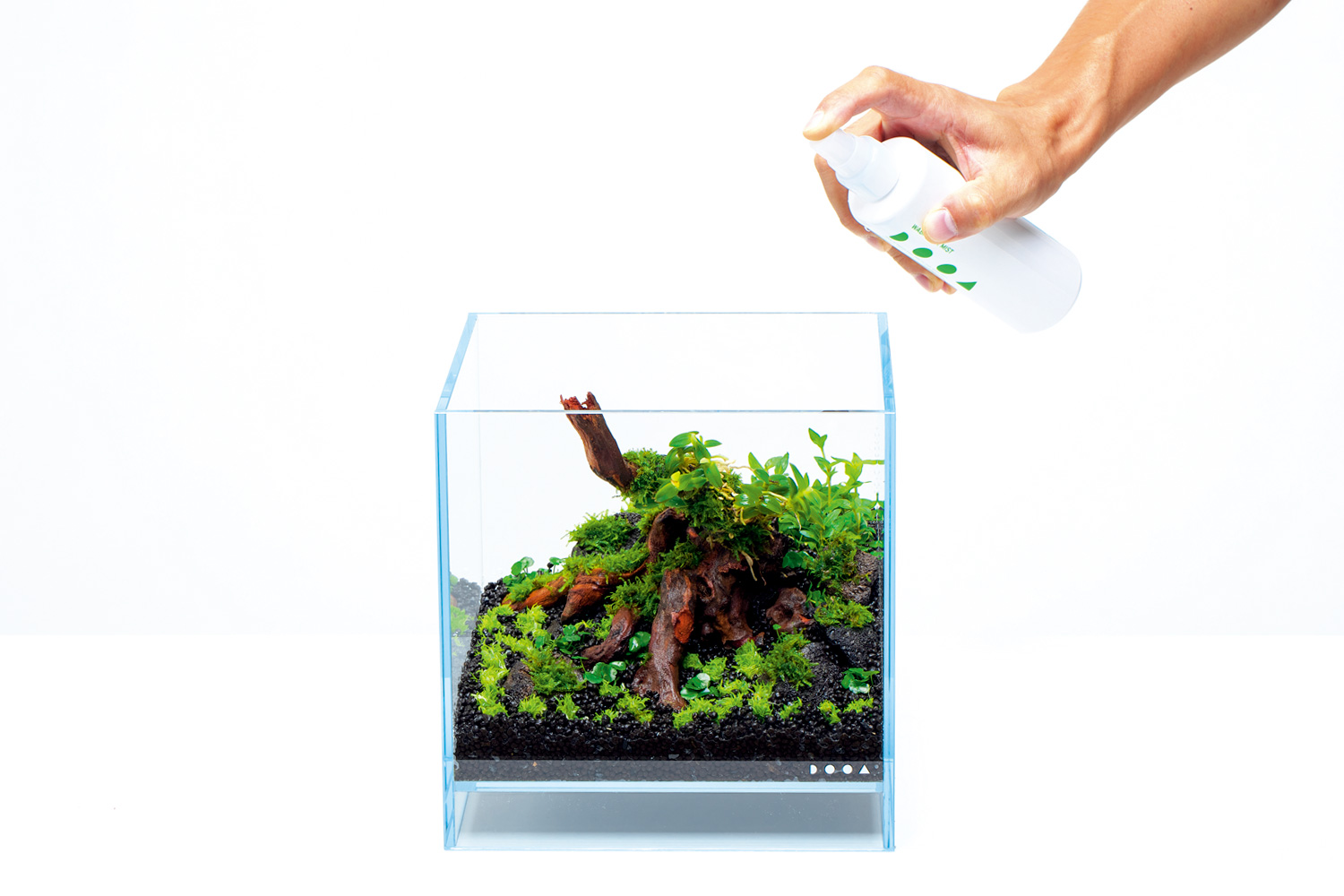 HOME AQUARIUM「ミニパルダリウムをつくる楽しみ」 | AQUA DESIGN AMANO