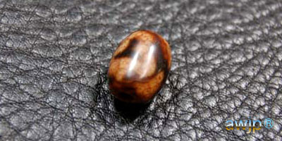 菩提天珠 | チベット天珠専門店 awjp