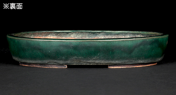 二代東福寺緑釉楕円鉢 | 盆栽、盆栽書籍、盆栽鉢の通販│近代出版