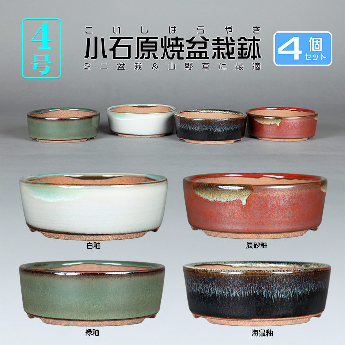 お得なセット鉢 | 盆栽、盆栽書籍、盆栽鉢の通販│近代出版
