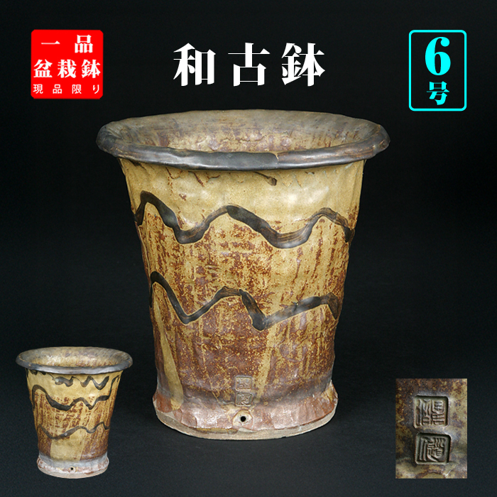 日本古窯 | 盆栽、盆栽書籍、盆栽鉢の通販│近代出版