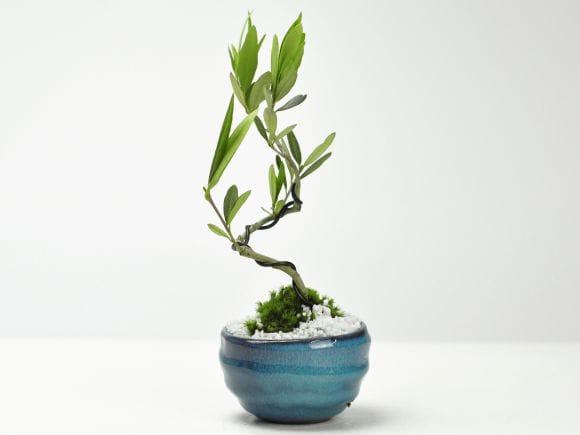 3278_1.jpg?v=1700711133&width=1946