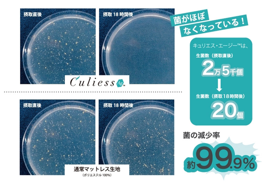 フランスベッド AGシリーズマットレス - マットレス