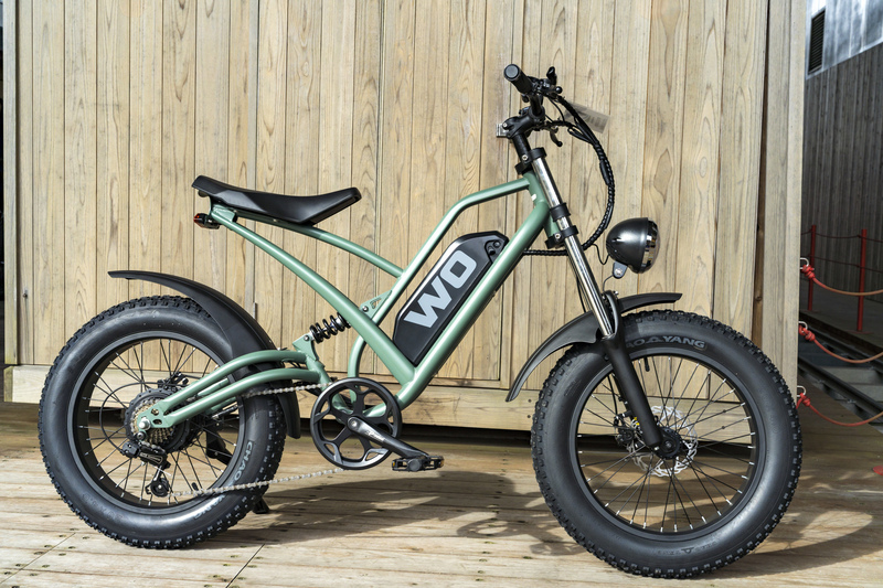 E-バイクでらくらく♪ “しなの鉄道・軽井沢サイクルトレイン” ➁〈後編