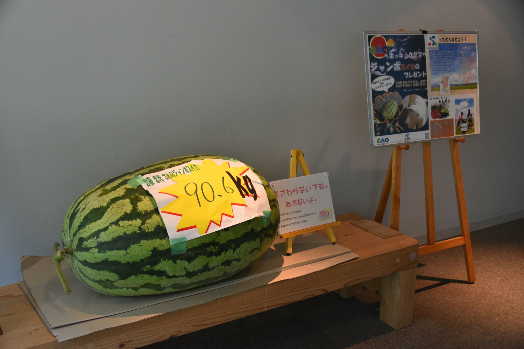 豪太とユキさん カロライナクロスを食す – 男鹿水族館GAO