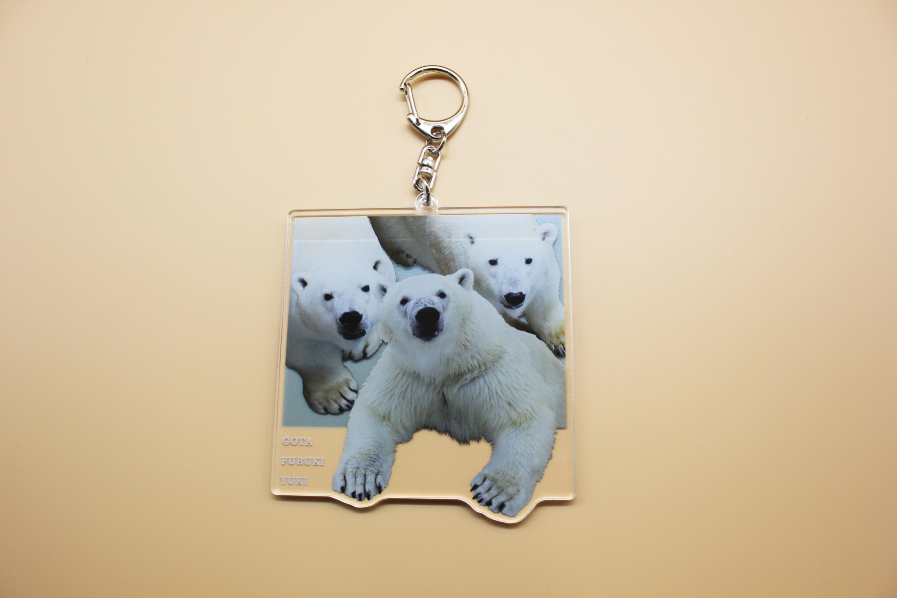 新商品のご案内（ホッキョクグマグッズ） – 男鹿水族館GAO