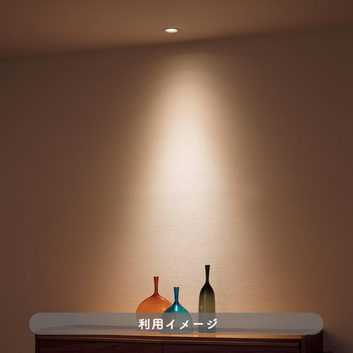 ピンホール ダウンライト Φ65mm 40W | ブラック｜照明のライティング