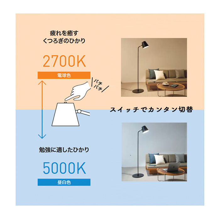 HOME.フロアスタンド・光色切替付き | ブラック｜照明のライティング