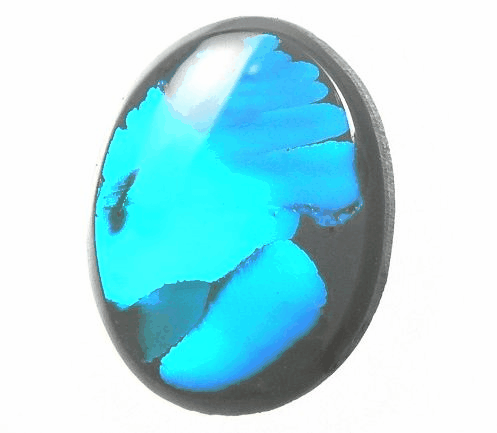 ピクチャーオパール 。。。 | オパール・オーストラリアのアレコレ