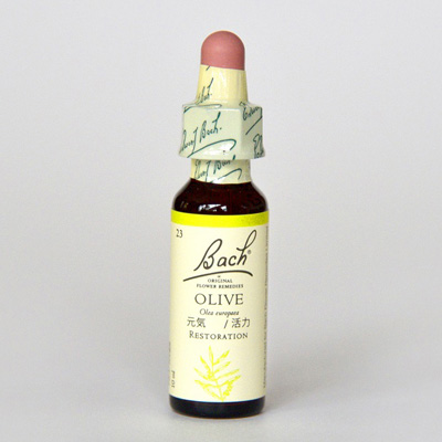 フラワーレメディ オリーブ(OLIVE) BACHR123-00 | バッチフラワー