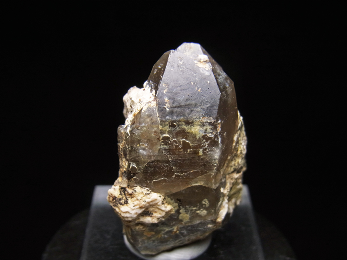 滋賀県三上山産 煙水晶 (Smoky Quartz / Japan) - 鉱物標本販売店