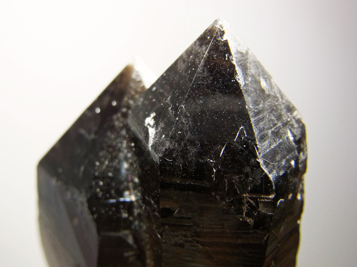 岐阜県蛭川田原産 煙水晶 (Smoky Quartz / Japan) - 鉱物標本販売店
