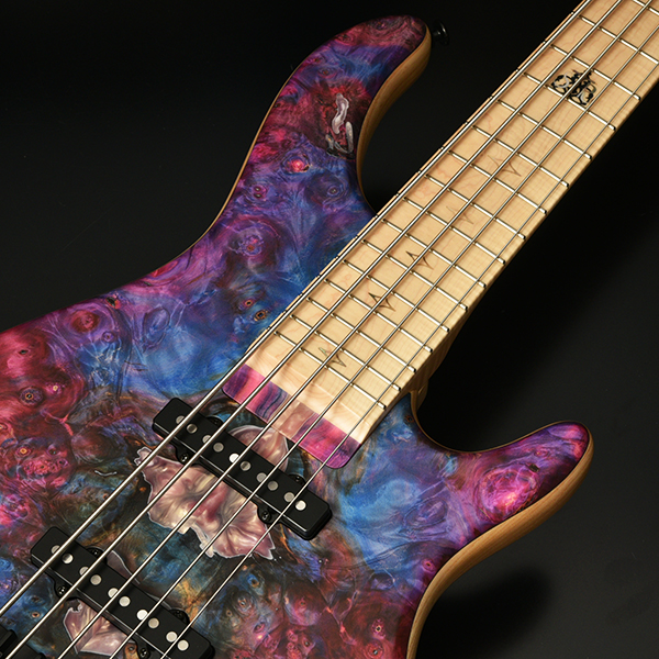 LS549 #482 | Deviser ｜株式会社ディバイザー｜長野県松本市のギター