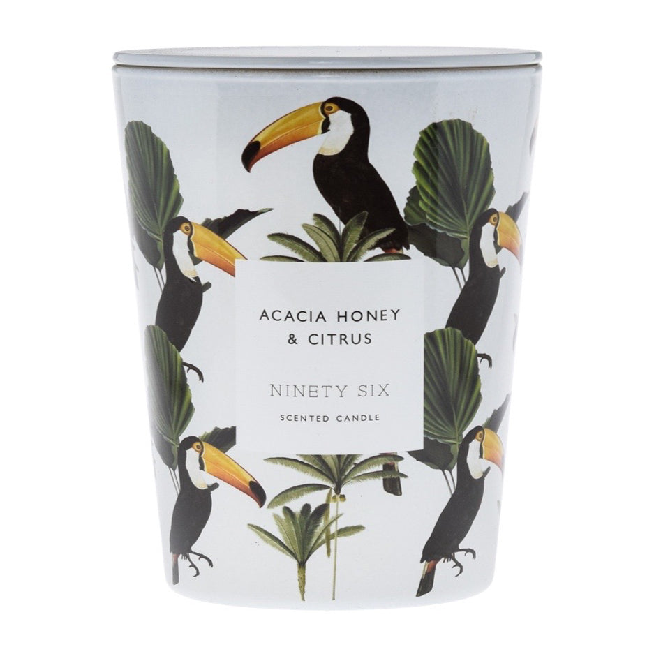 Acacia Honey & Citrus – DW Home Candles