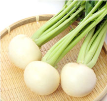 マッハ[玉葱] - e-種や｜国内最大級の野菜種・花種・苗・農業資材の販売店