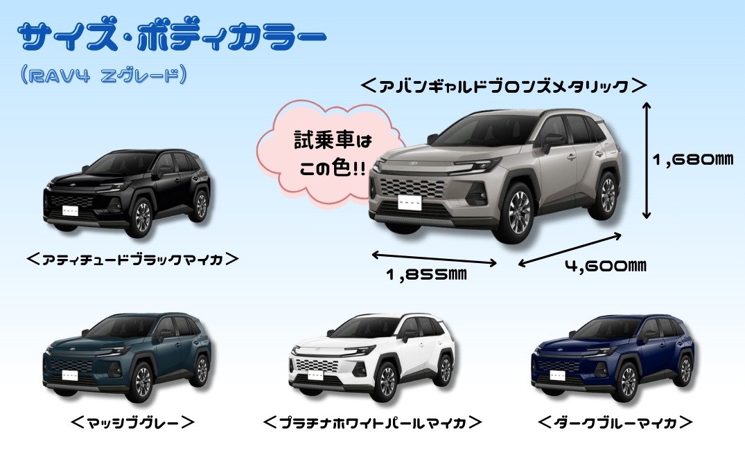 試乗車紹介】新型RAV4がやってきた！💨