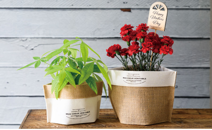 ハンドメイド鉢カバー-L(5号)/アレーヌ｜ギフト、ラッピング用品、包装