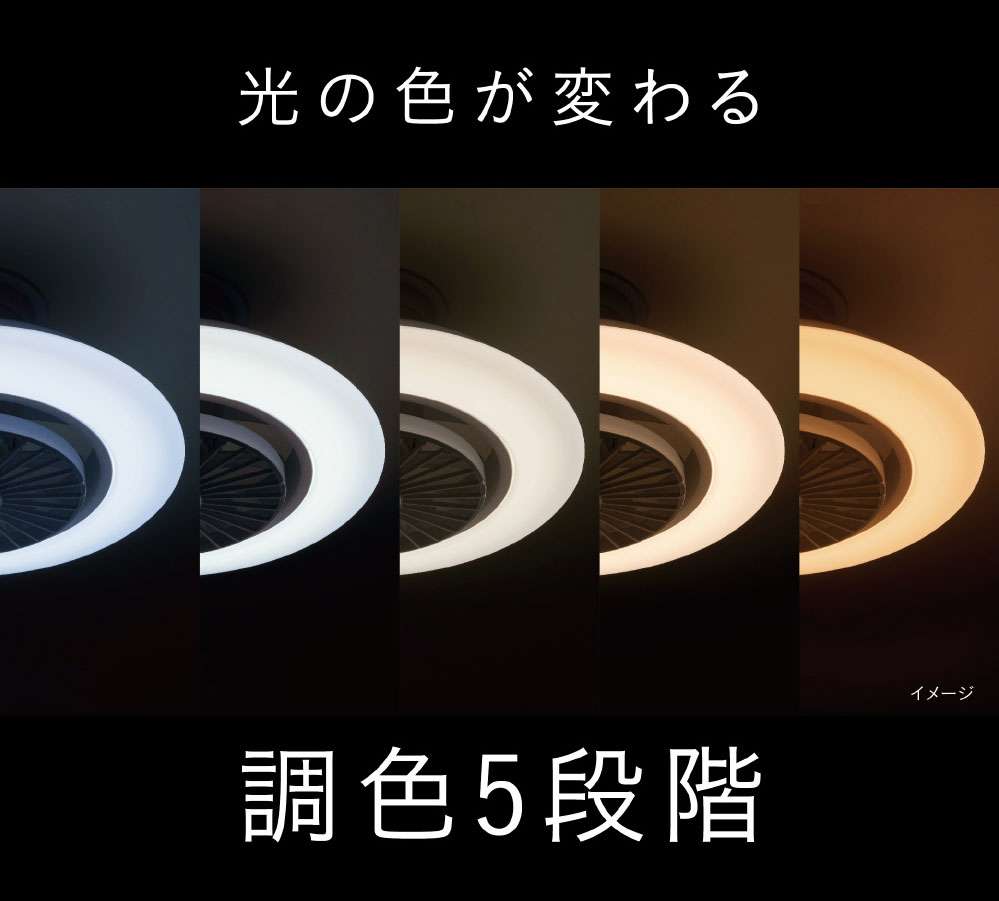 ドウシシャ DCCSW08EC ～8畳用 サーキュライト スイングモデル EZ