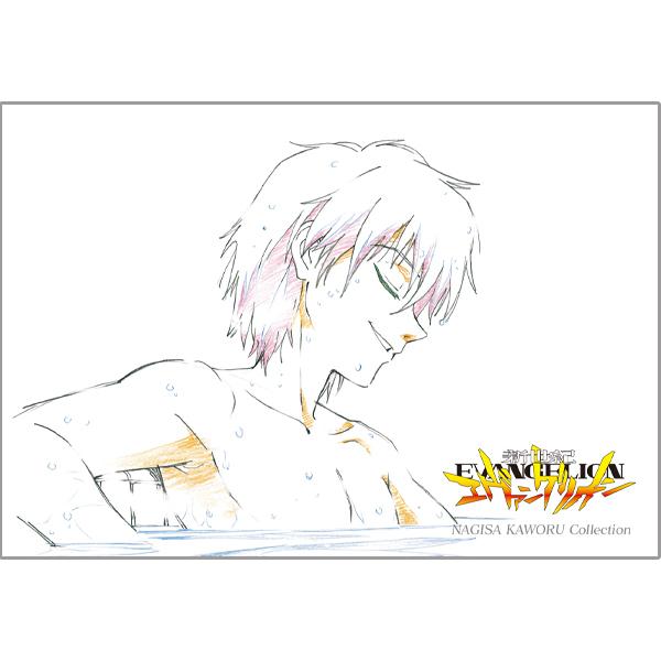 新世紀エヴァンゲリオン 渚カヲルポストカードセット