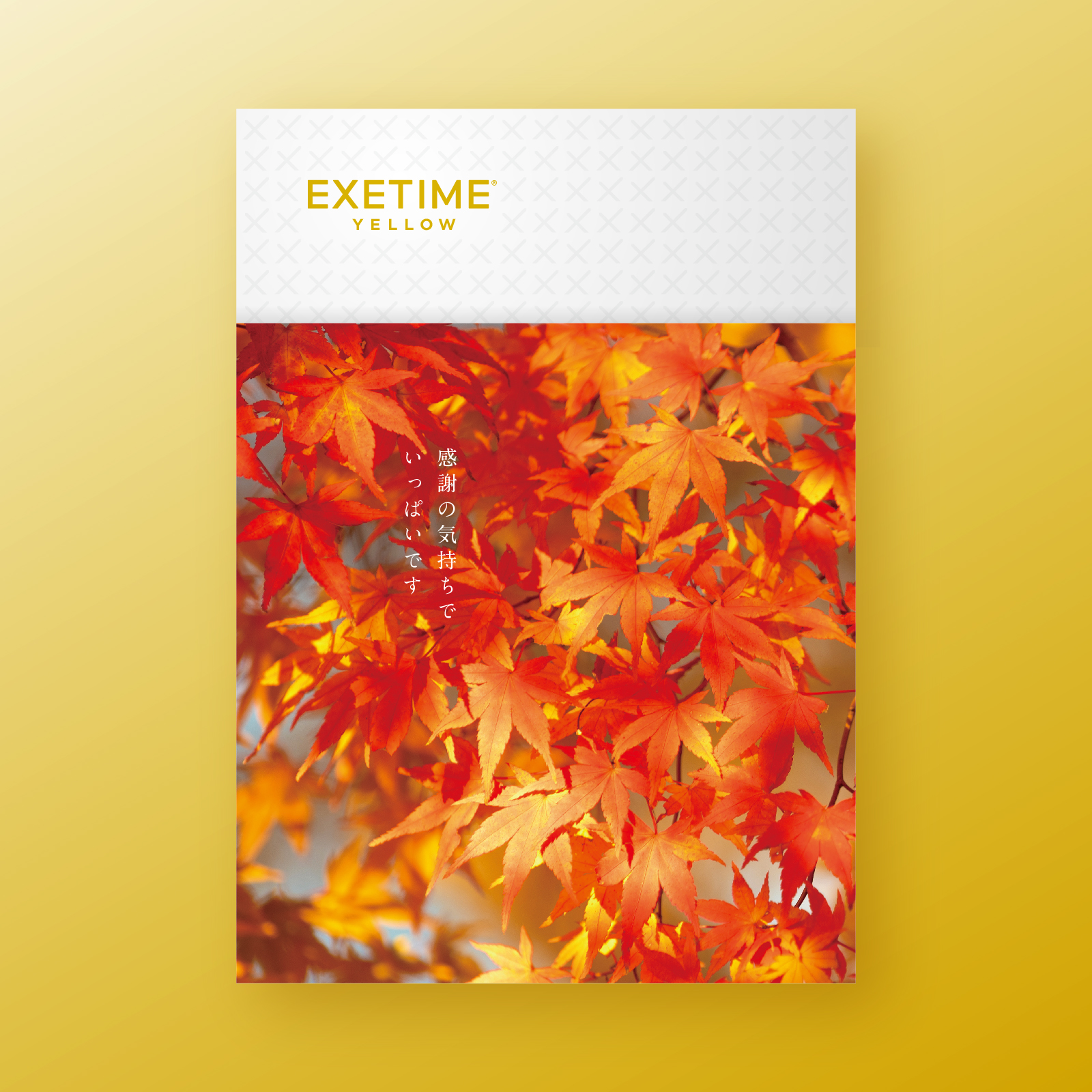 EXETIME(エグゼタイム)YELLOW|温泉・体験型商品満載の旅行カタログ