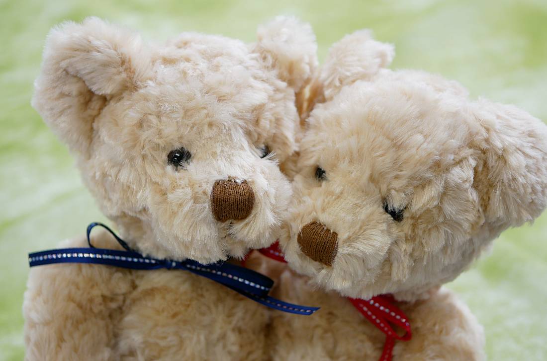 Bears｜3匹セットの可愛いぬいぐるみ祝電ギフト【For-Denpo】