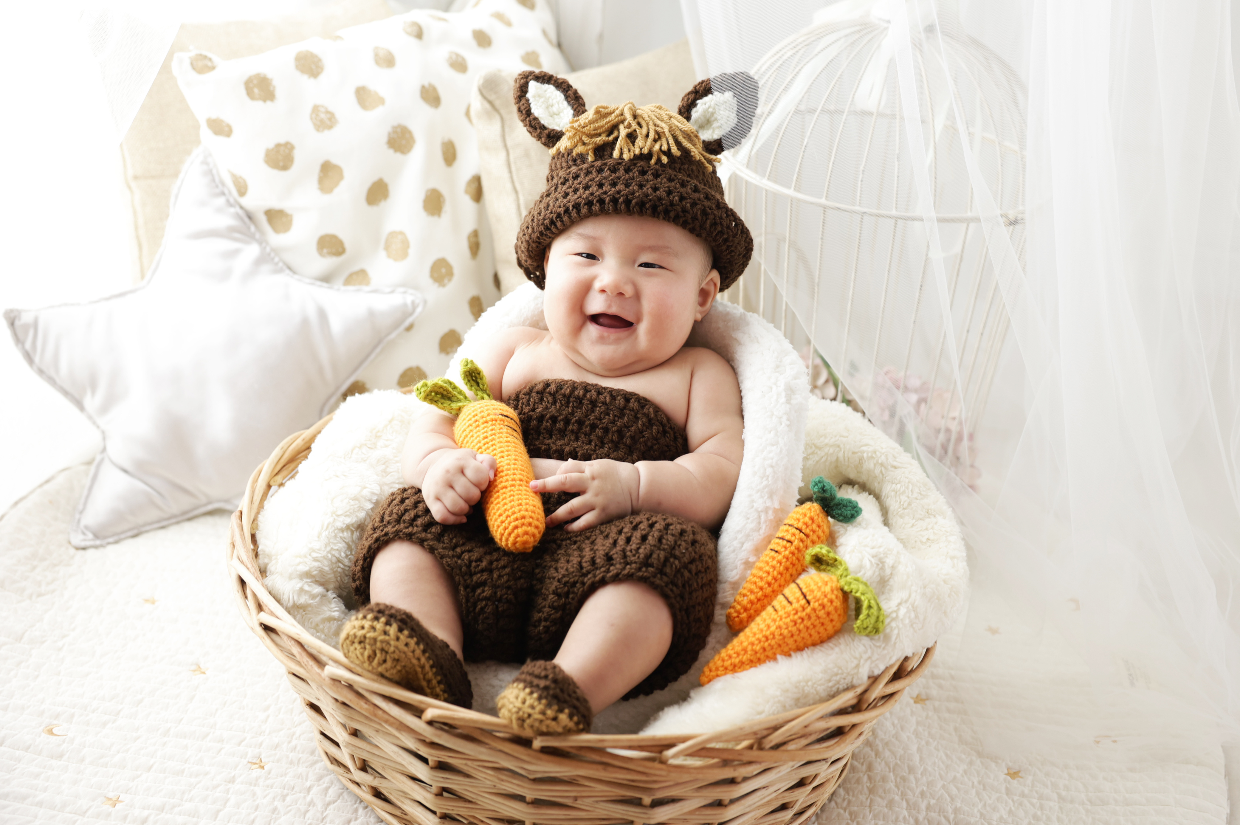 赤ちゃん動物園 - 広島、岡山、熊本、福岡の写真館フォセット