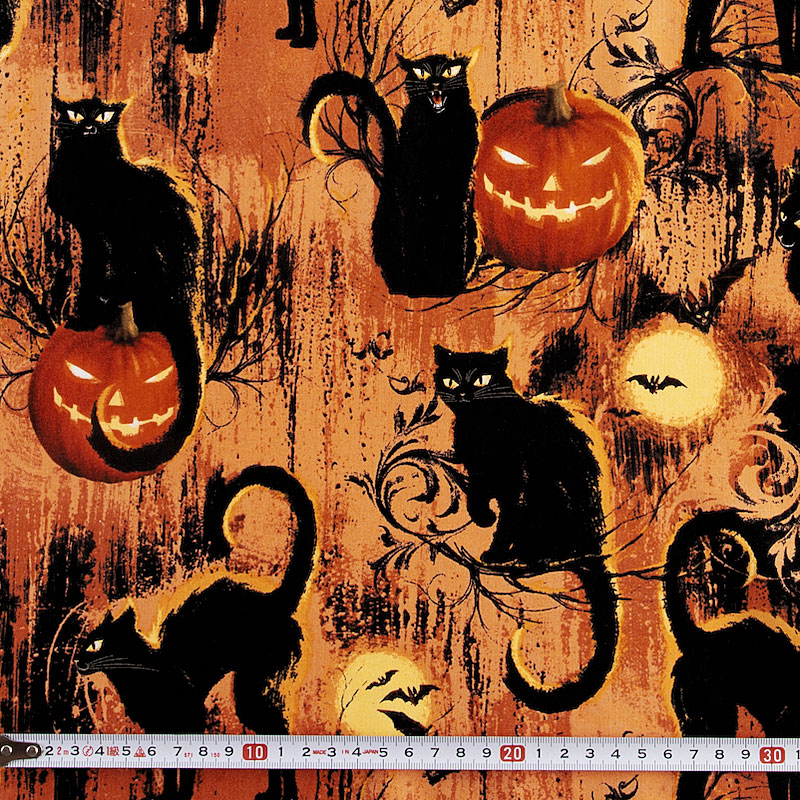 Fairy Cotton / 黒ネコ、カボチャ ハロウィン オレンジ