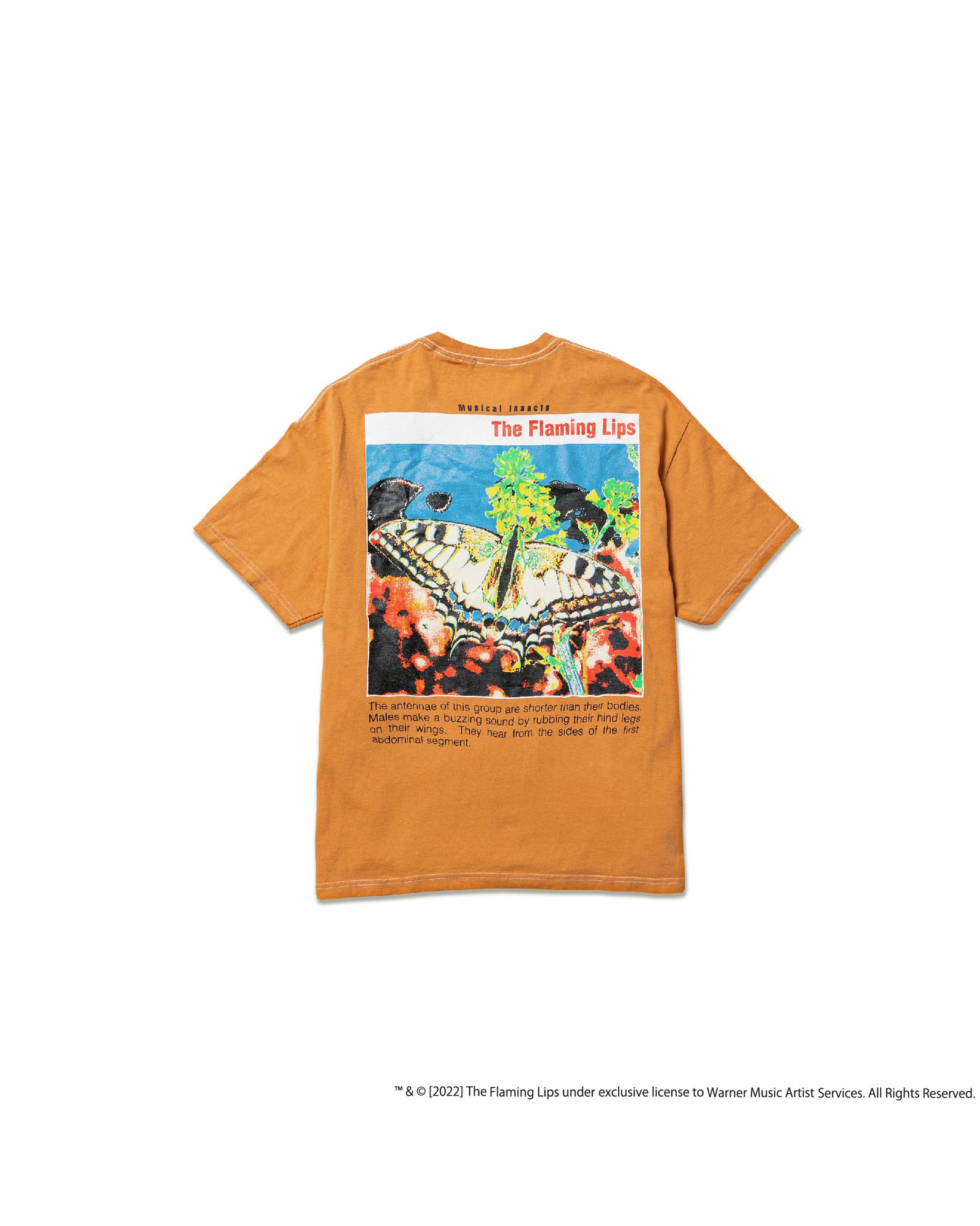 the flaming lips Tシャツ オレンジ the flaming lips Tシャツ