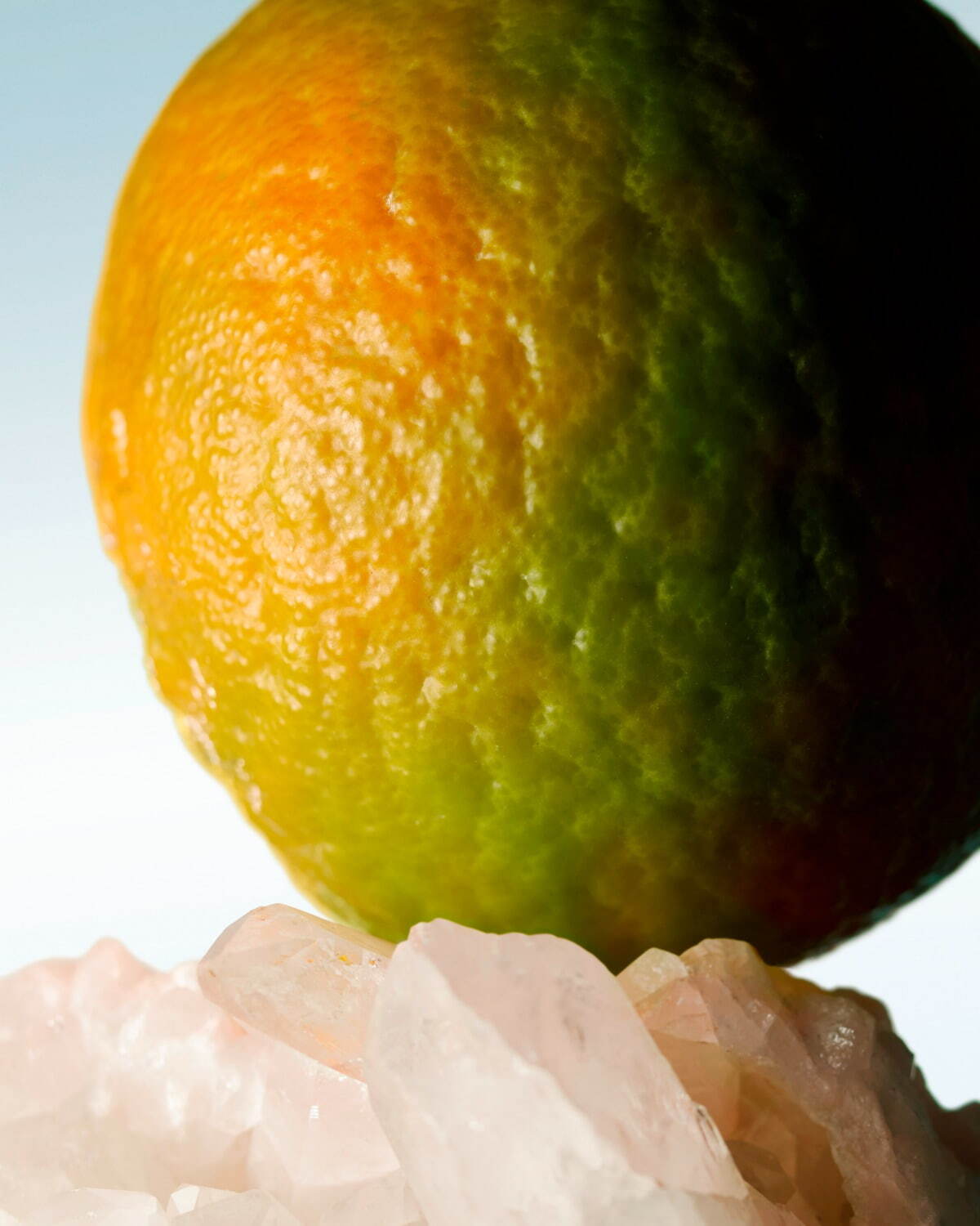 ドリス ヴァン ノッテン24年夏香水「ミスティック モス」“ソルト