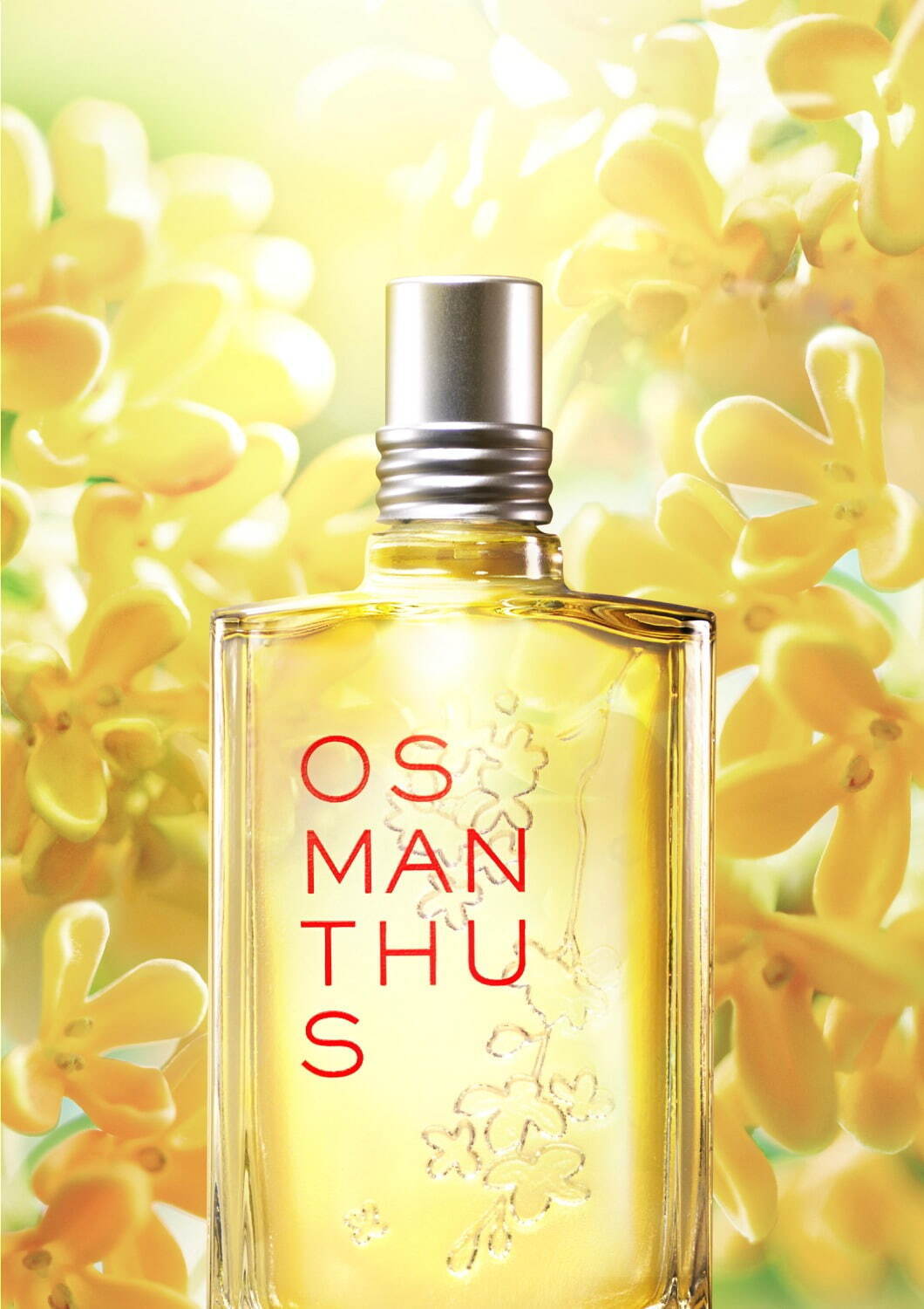 ロクシタン22年秋“金木犀”香る「オスマンサス」限定ボディケア