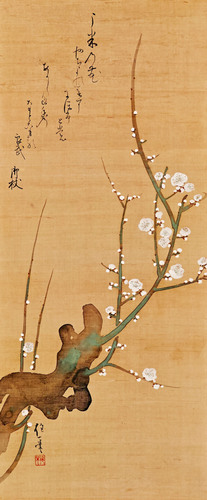 白梅図 | 酒井抱一 | 収蔵品詳細 | 作品を知る | 東京富士美術館