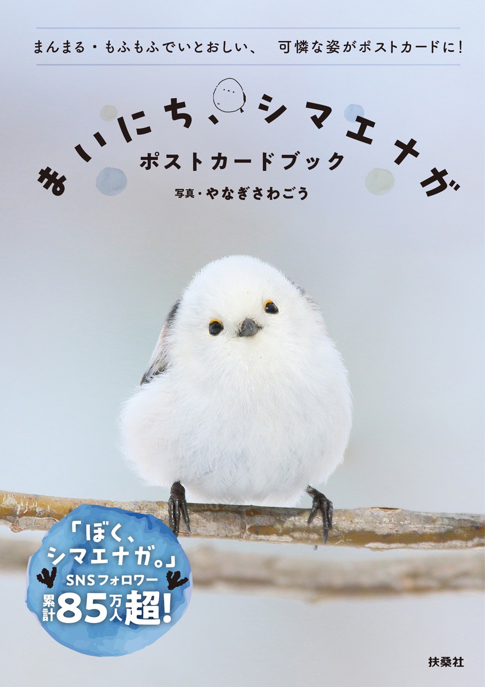 まいにち、シマエナガ ポストカードブック|書籍詳細|扶桑社
