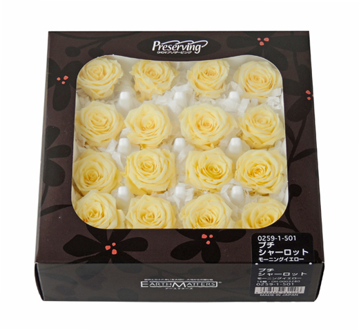 大地農園（ローズ） | プリザーブドフラワーKnext